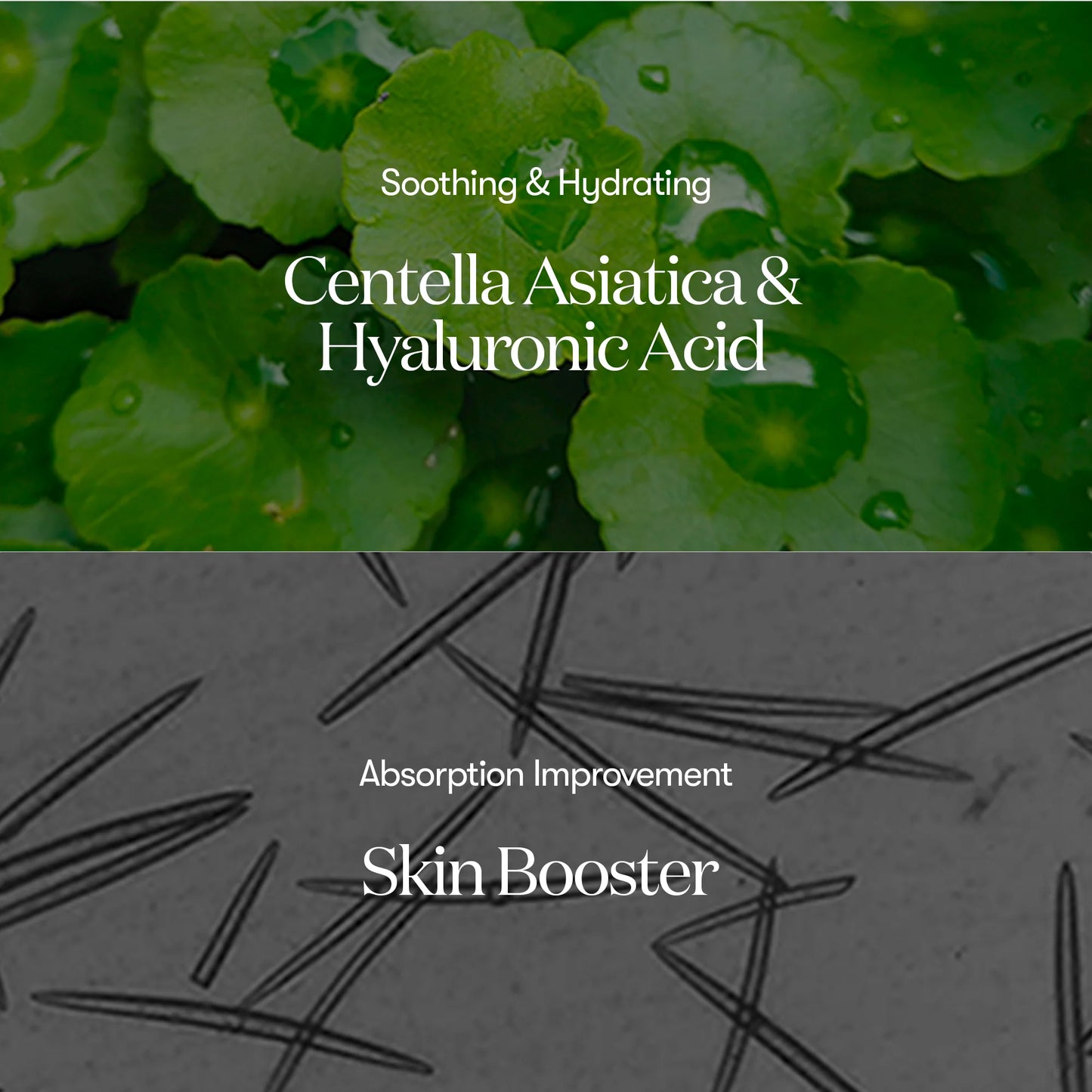 VT Cosmetics- Mild Reedle Shot 50 30ml