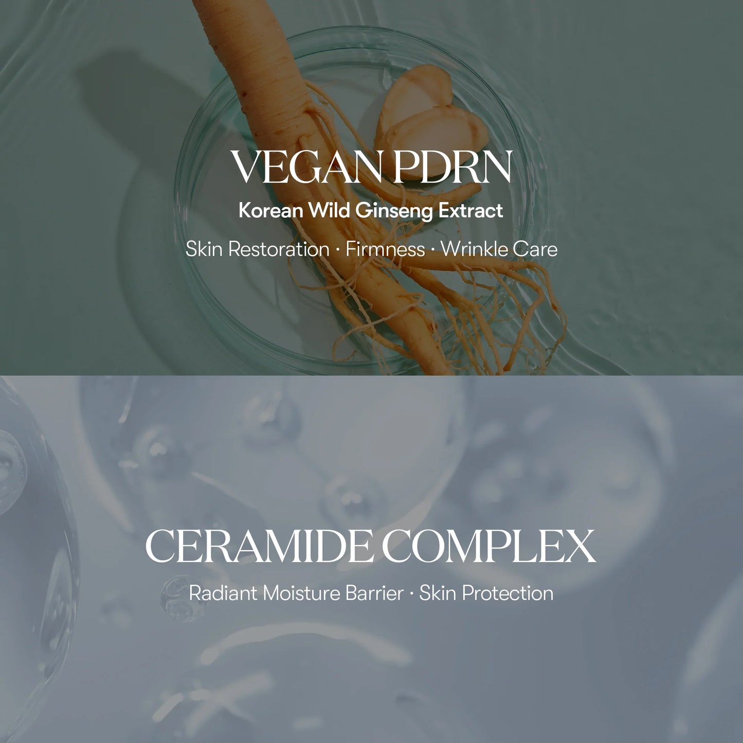 VT Cosmetics-PDRN Glow Ampoule 100ml